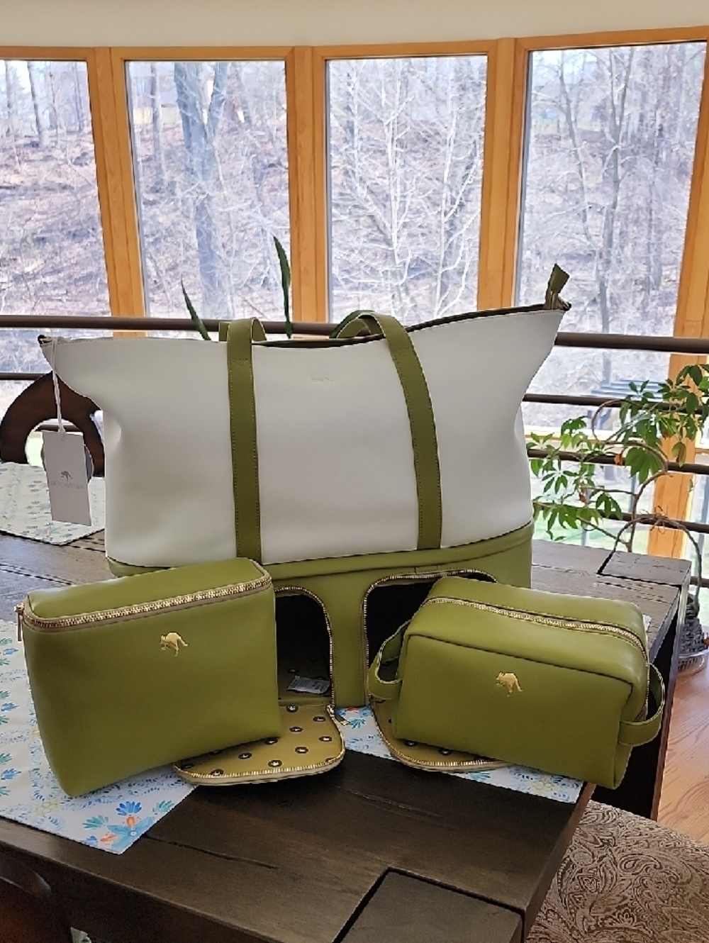 NEW - ROOMINA, The Lactote For Nursing Mothers